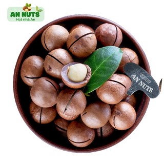 500Gr Hạt Macca Organic Sạch Gia Lai Size Đại