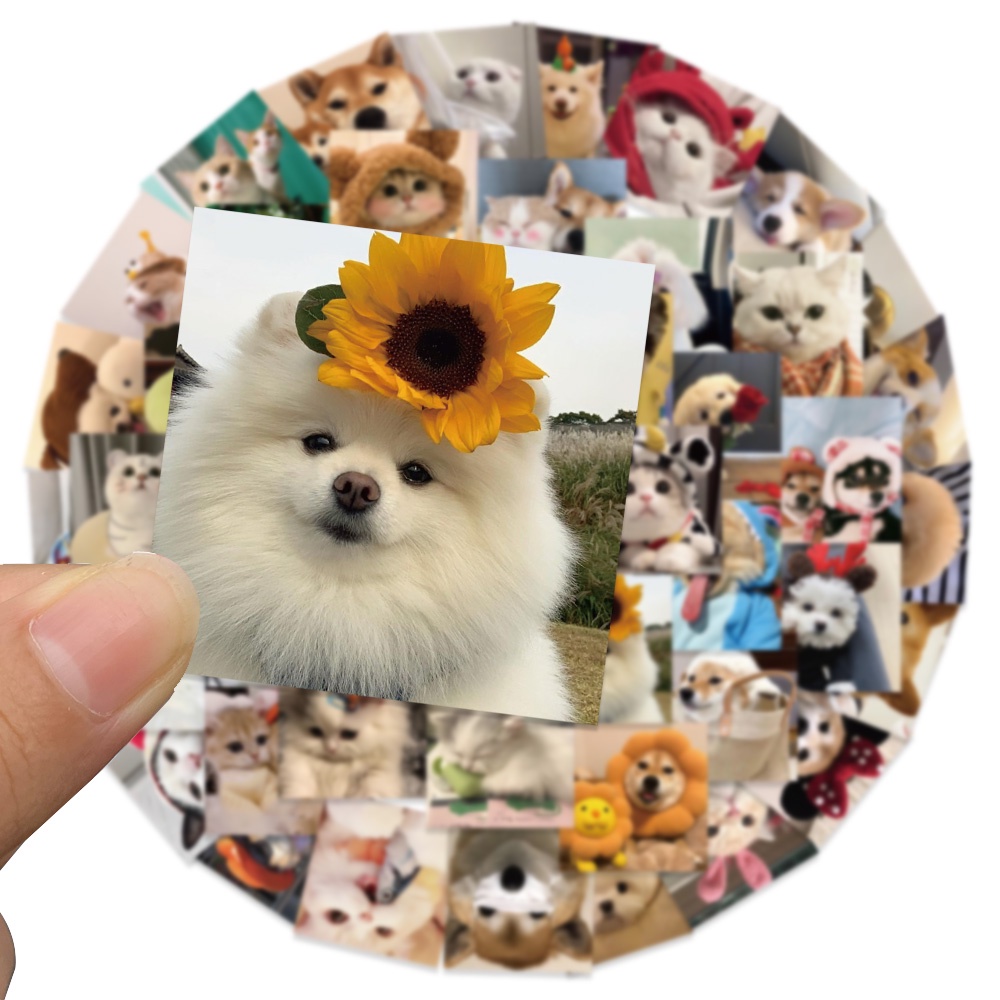 Bộ 52 Miếng Dán Họa Tiết Hoạt Hình Chó Mèo Vui Nhộn Trang Trí Nhật Ký / Laptop / Vali / Ván Trượt