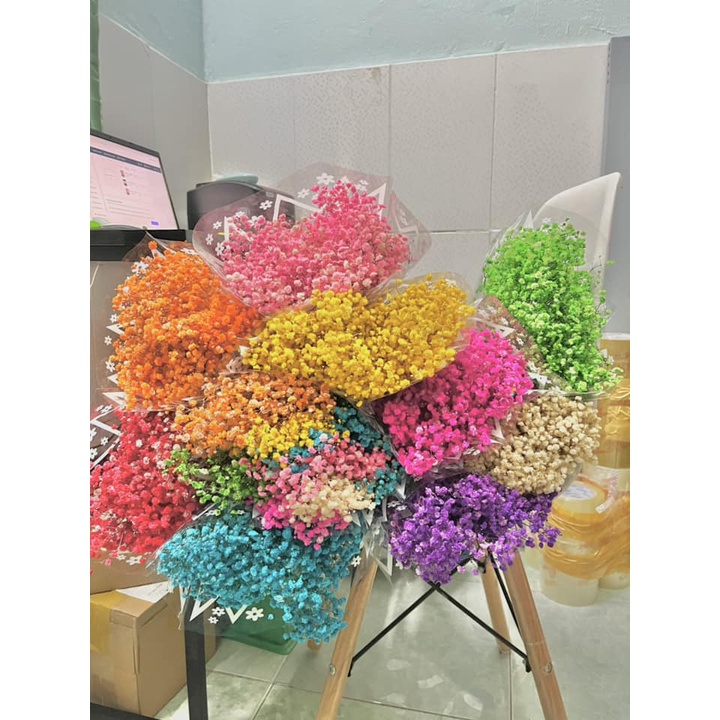 Hoa baby khô Hoa khô quà tặng decor trang trí