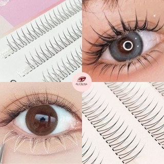 Lông mi giả tách sợi tự nối B6 dạng mi dưới tự nhiên dễ gắn - mi giả Jint