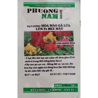 Hạt Giống Mào Gà Lửa (Mào gà lùn mix) 10 hạt