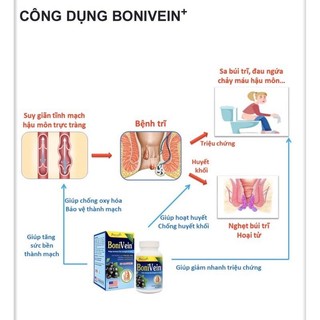 BONIVEIN - Hộp 30 viên