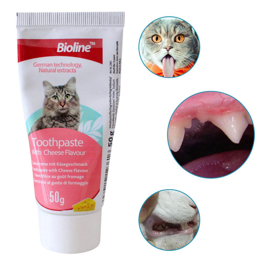 Kem đánh răng cho mèo kèm bàn chải và các dụng cụ vệ sinh Bioilne 50g giúp miệng giảm hôi và ngừa vôi răng hương phô mai