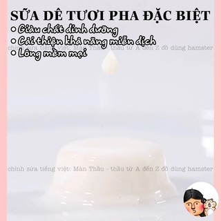 Thạch pudding sữa dê Bucatstate dành cho Hamster