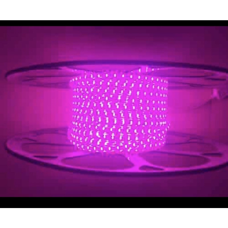 20m dây led 3014 các mầu làm ông sao noel