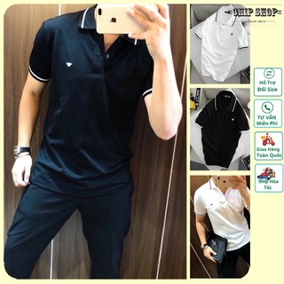 Áo thun polo nam thêu ông dày dặn