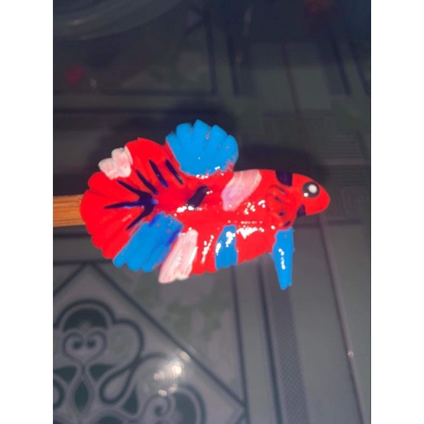 Cây Kè Betta-Milo Guppy