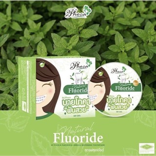 Kem Đánh Răng Thảo Dược Phoca Thái Lan 25g
