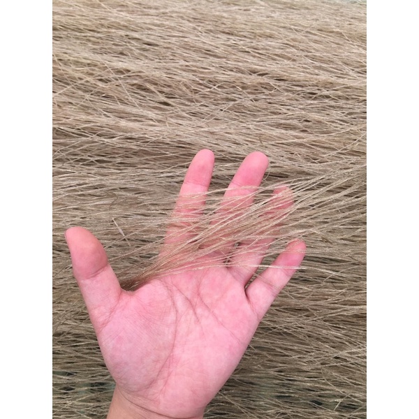 Miến Dong phia đen cao bằng