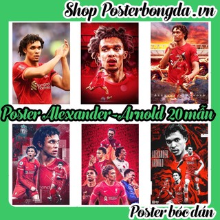 Poster Alexander Arnold, Ảnh Dán Tường Alexander Arnold Cực Đẹp, Poster Bóng Đá Có In Theo Yêu Cầu