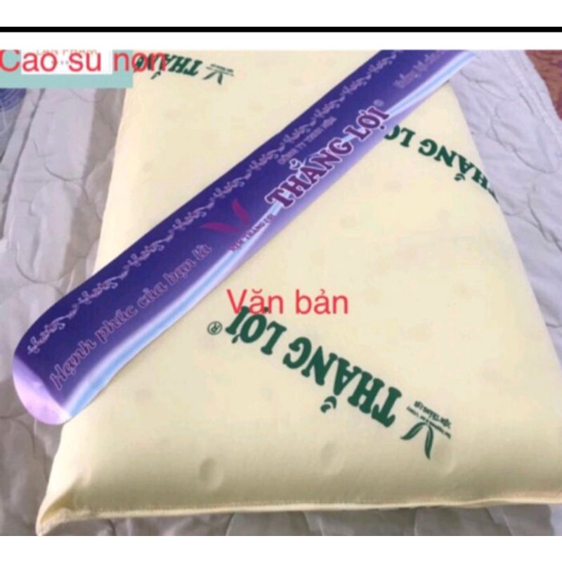 Gối cao su non Thắng  Lợi 40x60 và 50x70
