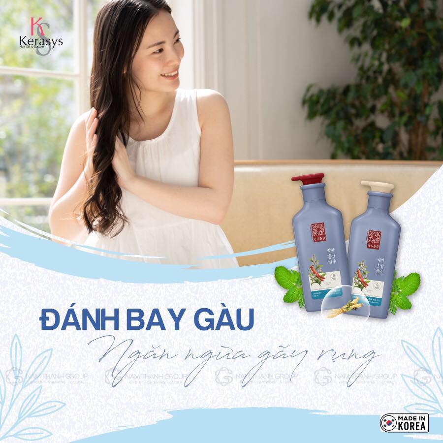 Cặp dầu gội xả thảo dược Dong Ui Hong Sam Peppermint Hàn Quốc tinh chất bạc hà ngăn ngừa rụng tóc, giảm gàu ngứa 500ml*2