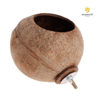 Tổ Chim Bằng Vỏ Dừa Độc Đáo