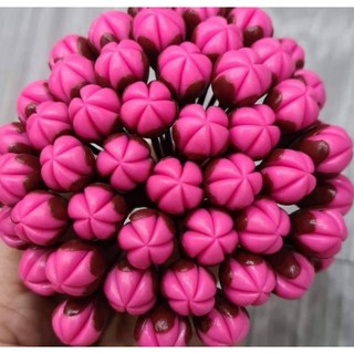 Nụ đào hồng đài nâu
