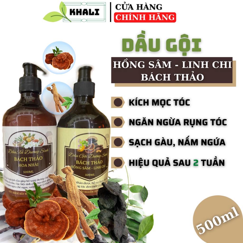 COMBO Dầu Gội Thảo Dược Bách Thảo Hồng Sâm - Linh Chi 500ml - Giúp Giảm Rụng Tóc, Sạch Gàu, Kích Mọc Tóc