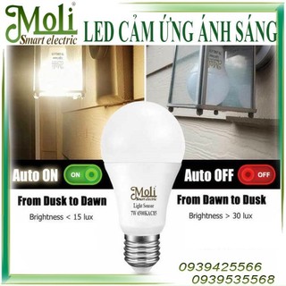ĐÈN LED CẢM ỨNG MOLI NGÀY TỰ TẮT ĐÊM TỰ BẬT SÁNG