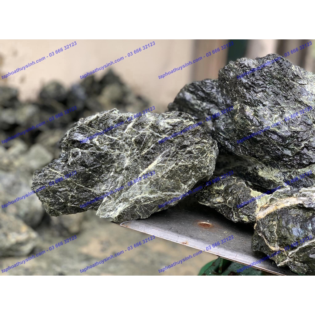 ĐÁ NHAM ĐEN VÂN TRẮNG SIÊU ĐẸP SET BỂ IWAGUMI