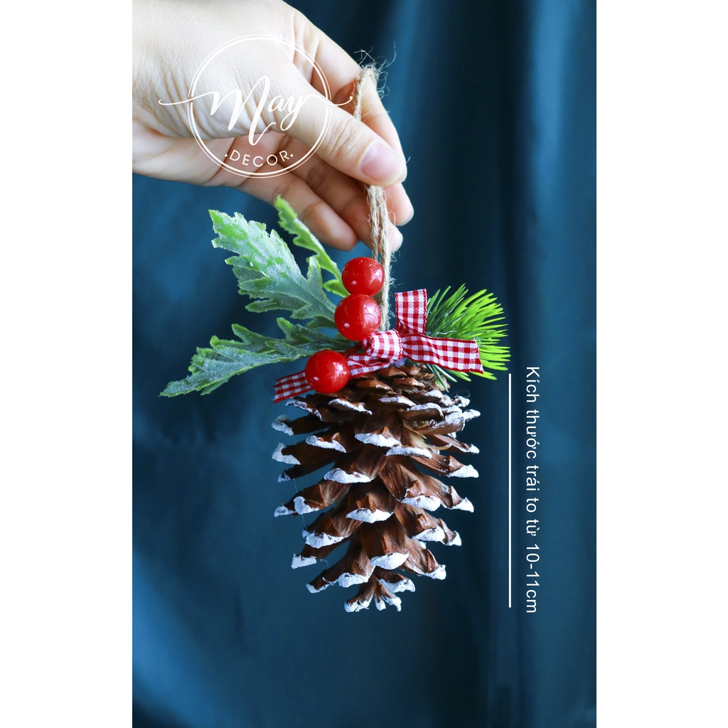 Trái thông tự nhiên trang trí noel