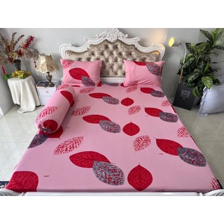 Bộ drap thun hàn quốc 4 món mát mịn