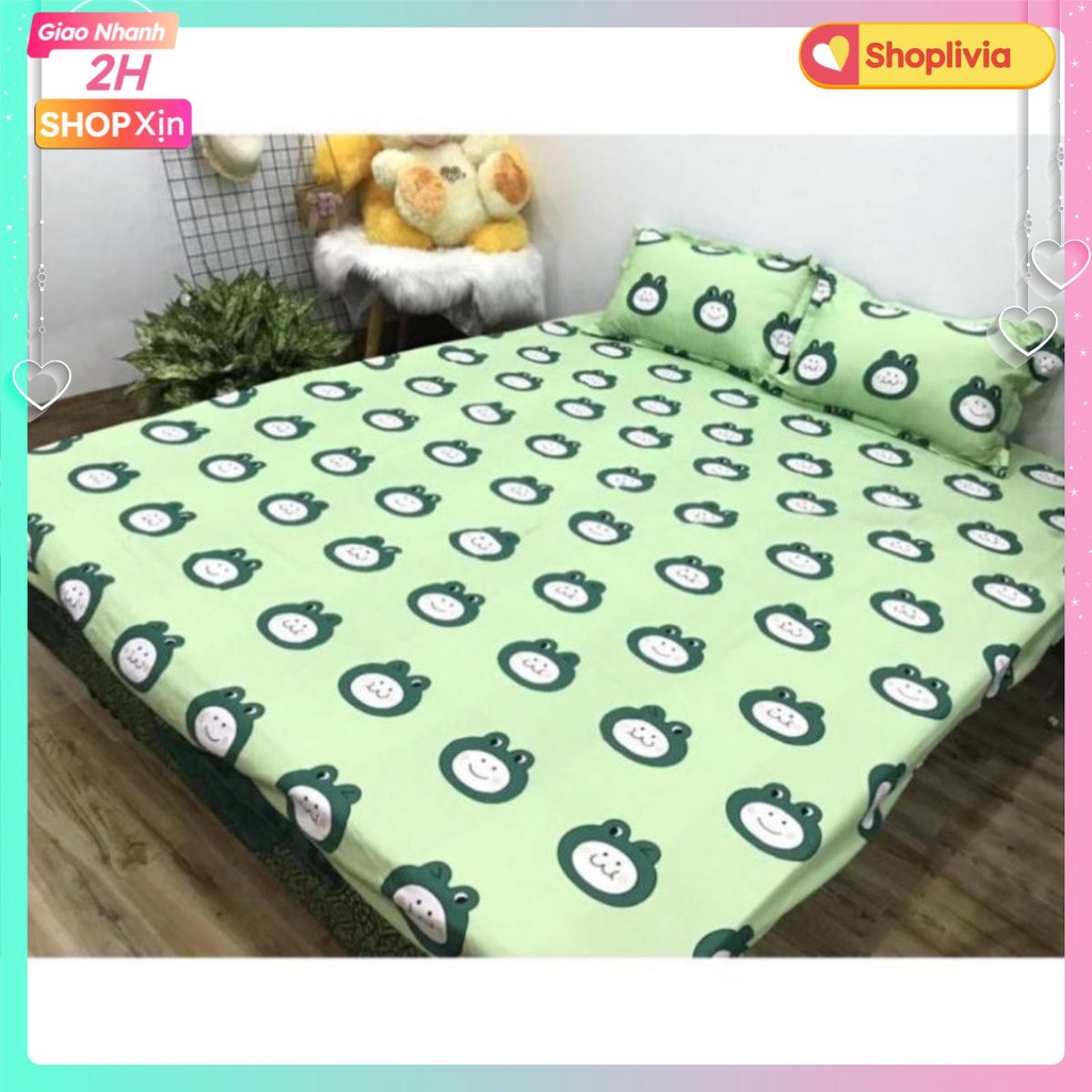 Bộ Ga Bọc Nệm 1M4,1M6