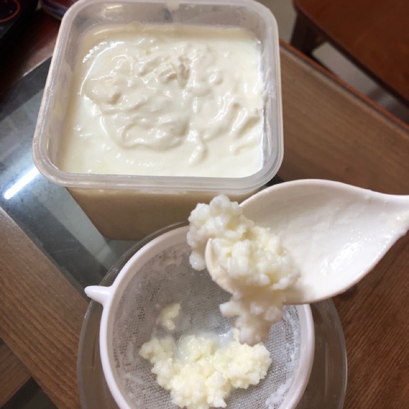 Nấm kefir - nấm sữa chua