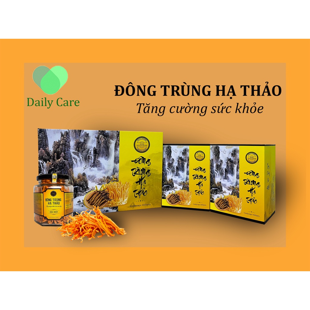 Đông Trùng Hạ Thảo Khô Viện Hàn Lâm Nâng Cao Sức Đề Kháng Tăng Cường Hệ Miễn Dịch Thanh Lọc Giải Độc Cơ Thể DAILYCARE