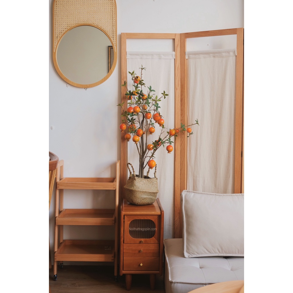 Cây lựu chậu cói