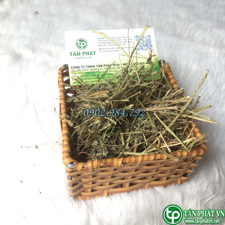 Diệp hạ châu sấy khô , Cây chó đẻ khô - Giảm viêm gan, Bảo vệ gan, Thanh lọc cơ thể