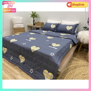 Ga trải giường bo chun đệm,vải mềm mịn