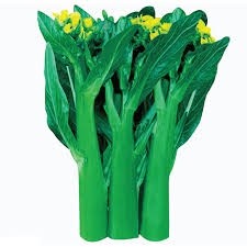 Cải ngồng thân mập 500H
