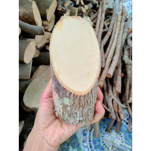 Khúc gỗ vạt xéo 1 đầu