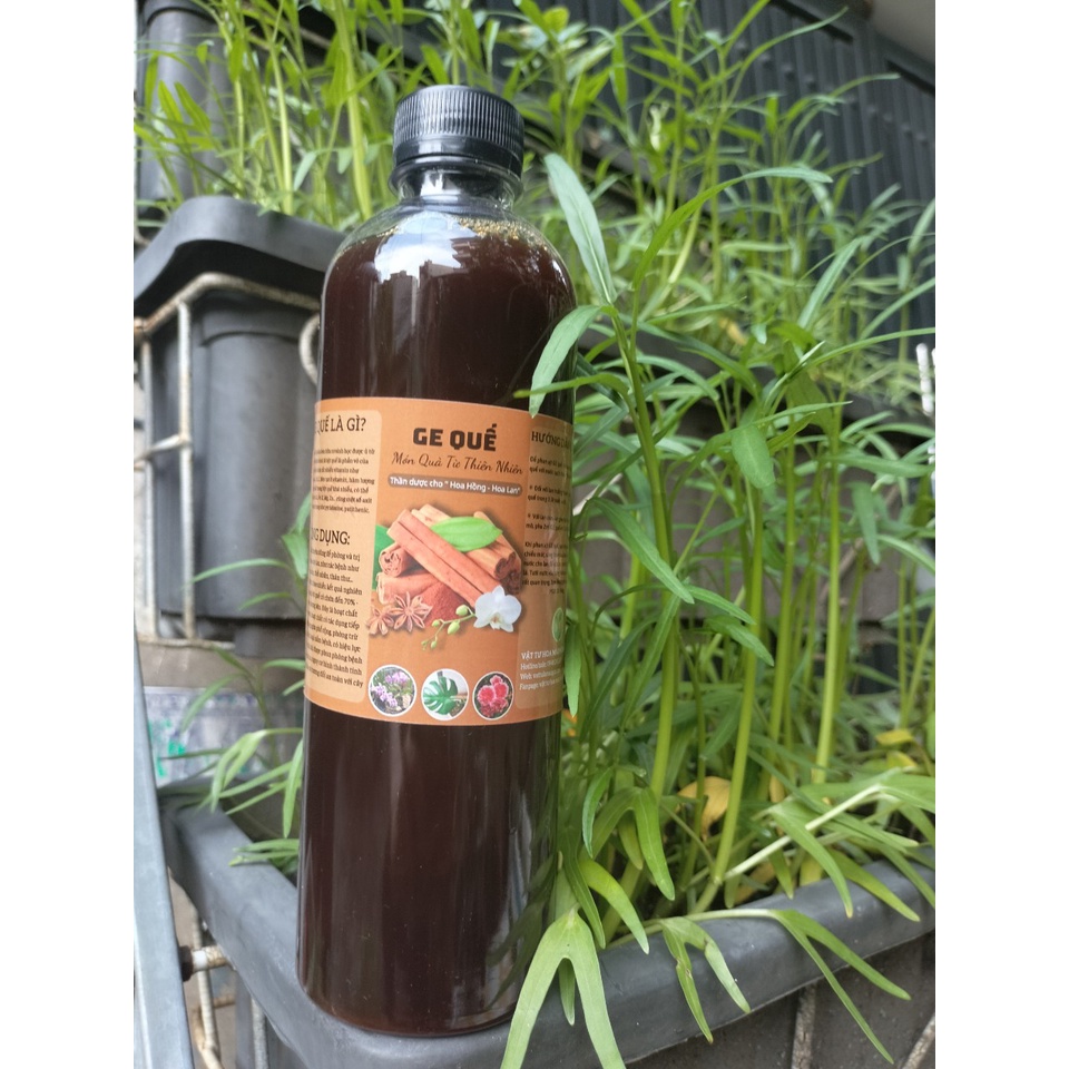 GE quế - chai 500ml - phòng ngừa thối nhũn, nấm bệnh cho lan, cây trồng.