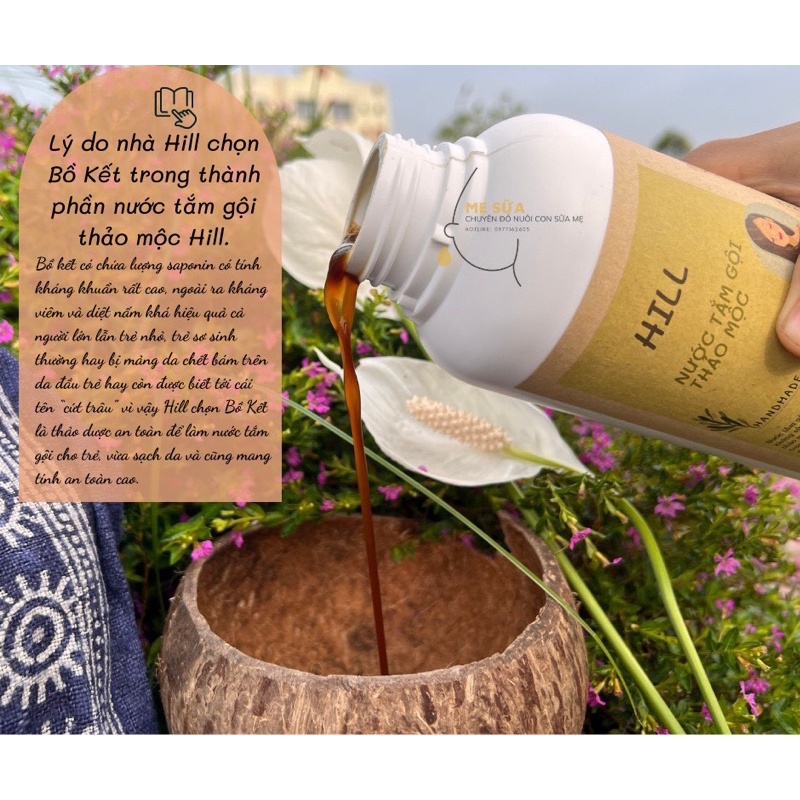 NƯỚC GỘI THẢO MỘC HILL HOLISTIC HEALING [100% Không hoá chất]