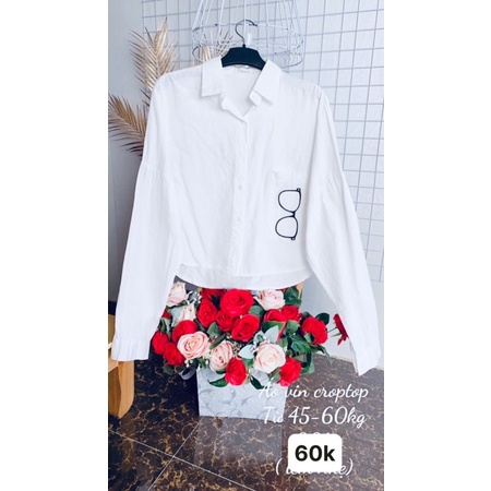 Áo vin dáng croptop