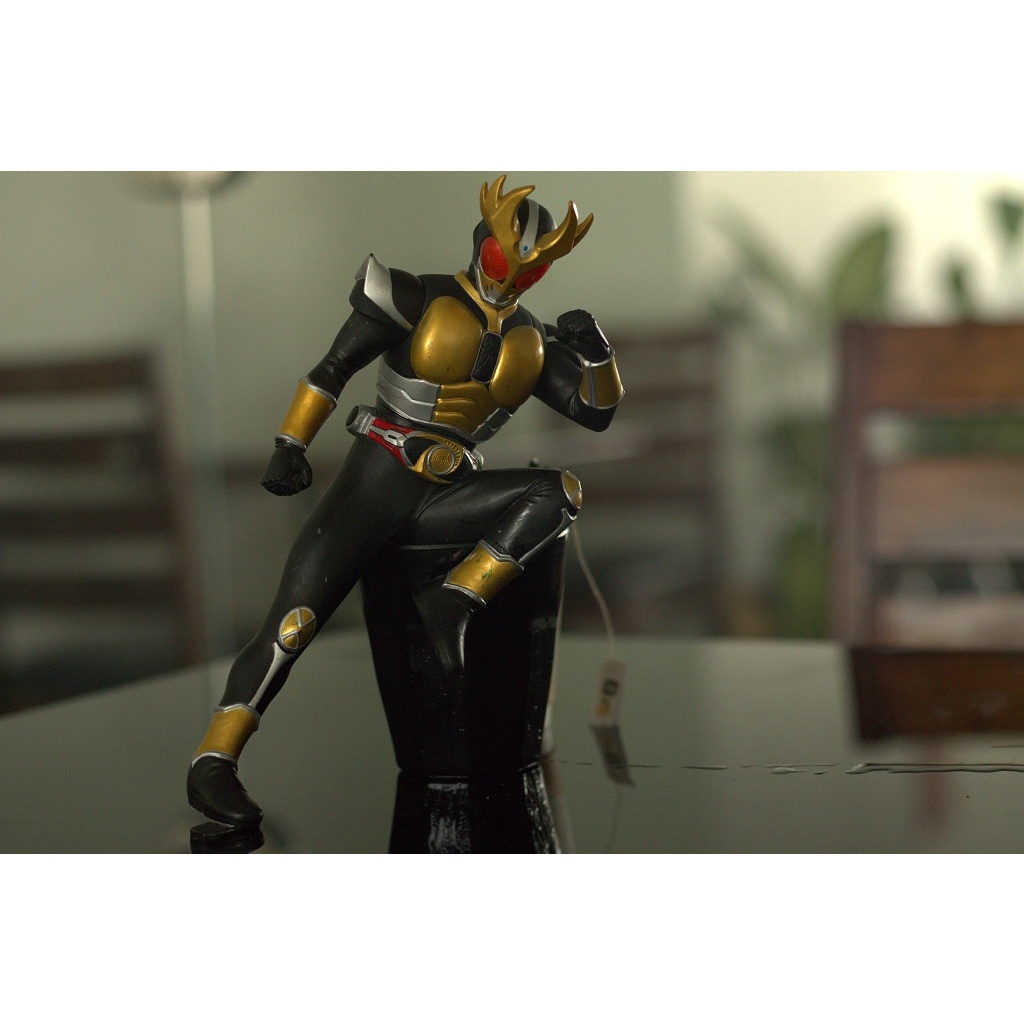 Mô hình Ichiban Kuji Kamen Rider 25cm - 30 cm