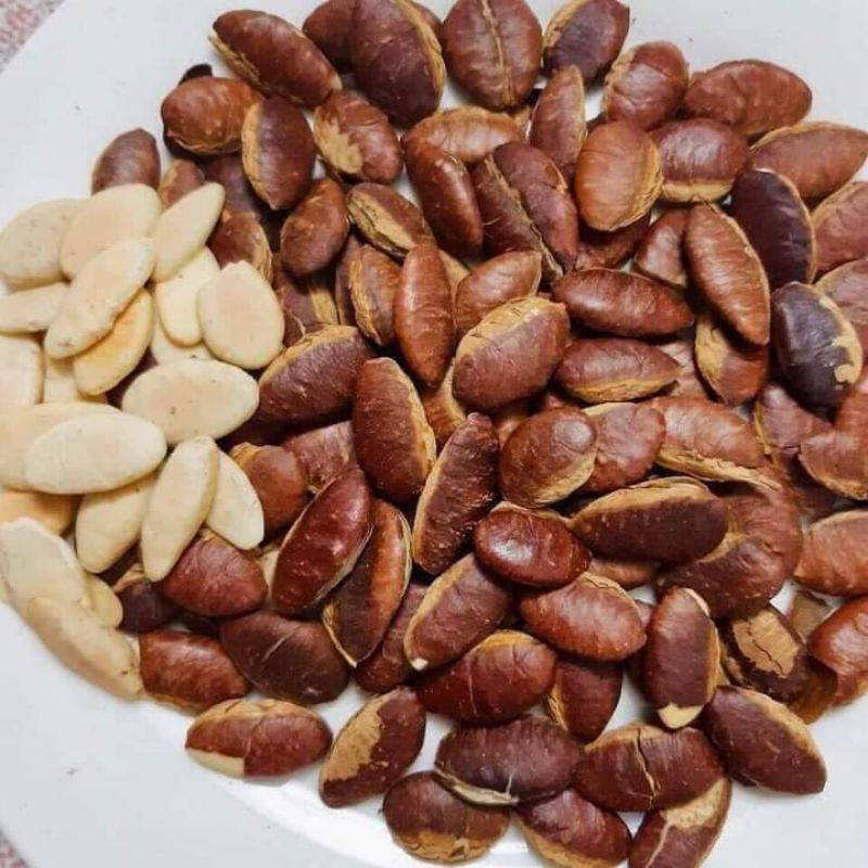 1 kí hạt konia sống tết 2024