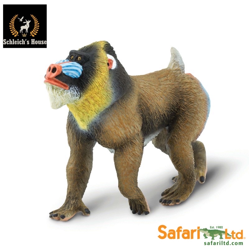 Mô hình động vật , đồ chơi con vật Safari Ltd chính hãng Khỉ đầu chó 100273 - Schleich House