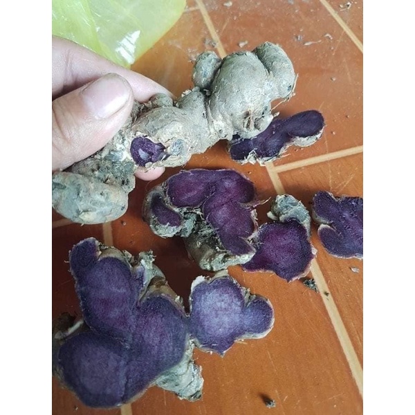 Gừng đen Yên Bái 1kg