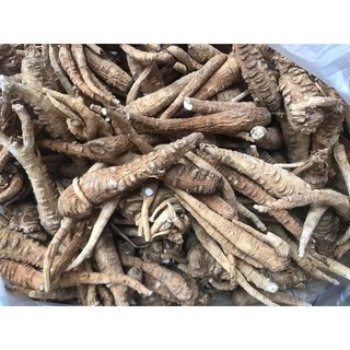 100gr Bạch Chỉ khô thái lát trắng.thơm