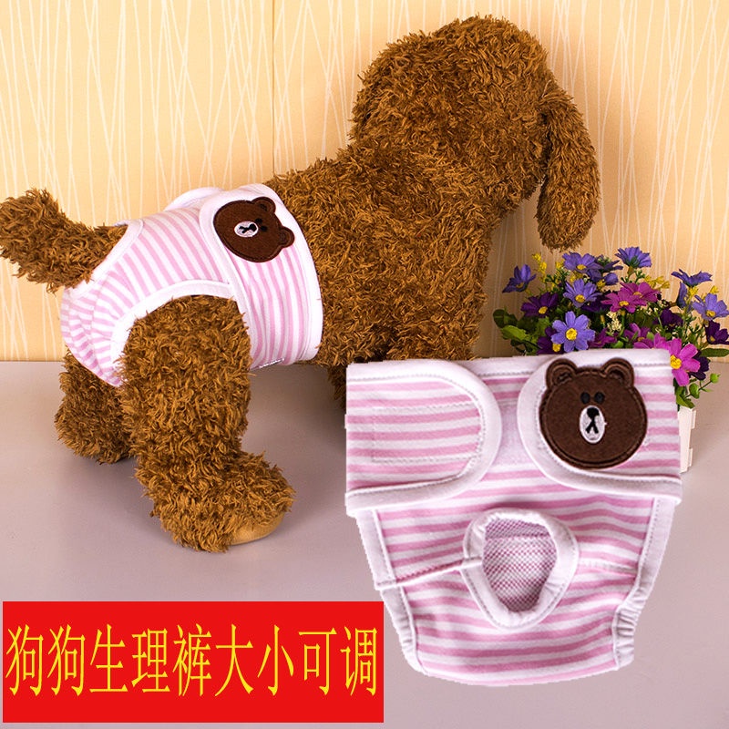 Quần Lót Sinh Lý Màu Vàng Kim Chống Rách An Toàn Cho Phụ Nữ Mang Thai / Cún teddy / Cún Con 11.17