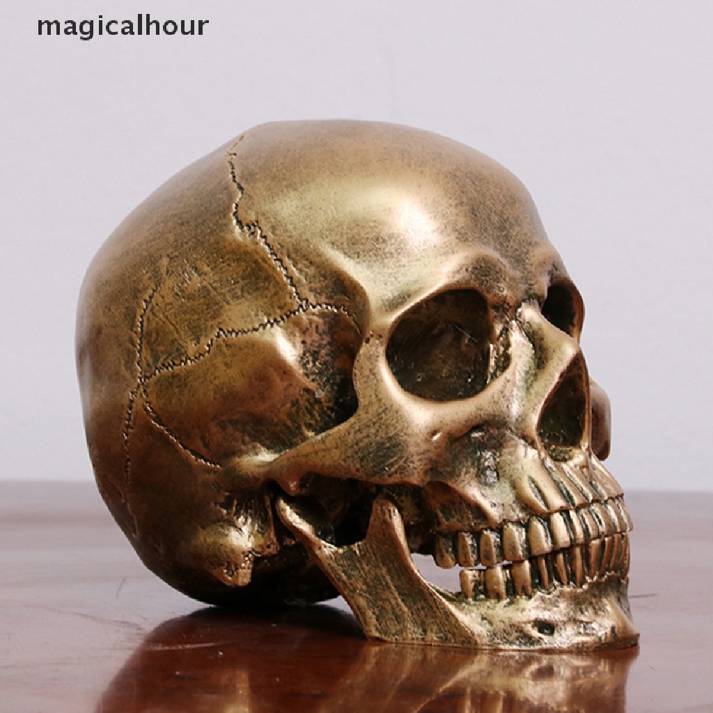 Mô Hình Đầu Lâu Bằng Nhựa Resin Đồng Tỉ Lệ 1: 1 Trang Trí Halloween