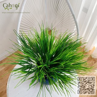 Cây Trang Trí - Cành Mạ Non 0143