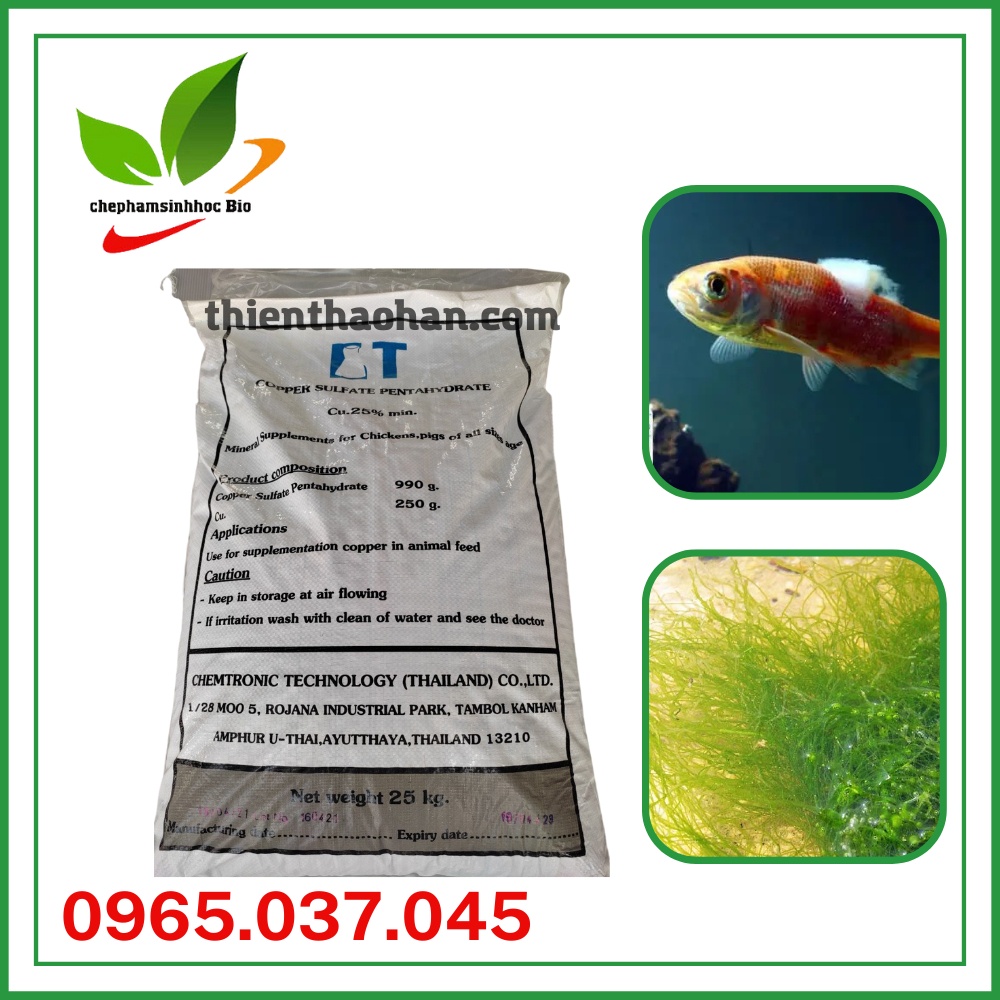 Đồng Sunfat CuSO4.5H2O (Thái Lan) cắt rong rêu tảo, diệt nấm cá, xử lý ao nuôi tôm. Bao 25kg.