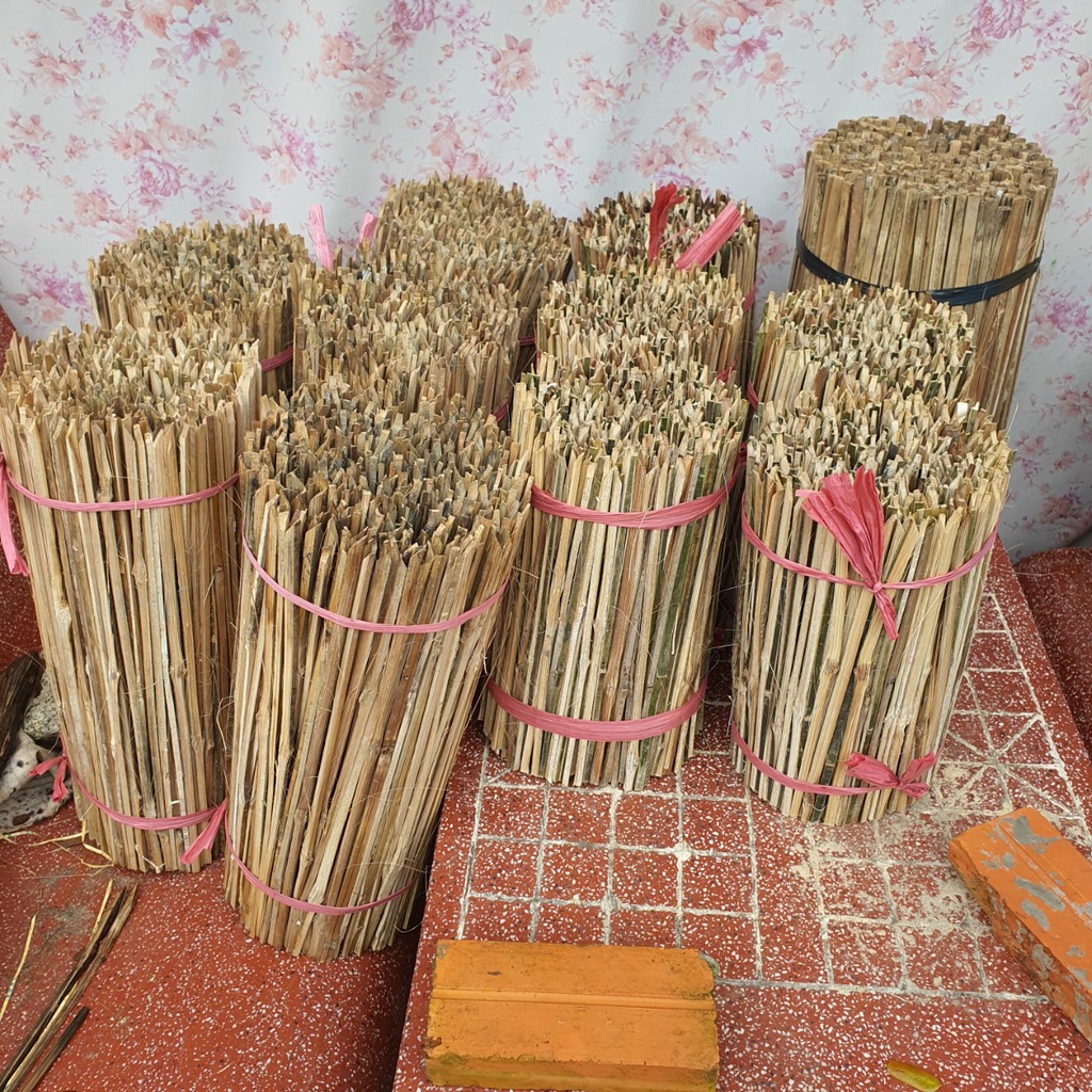 100 que tre dài 50-60cm cố định hoa kiểng, hoa vạn thọ Tết 2023