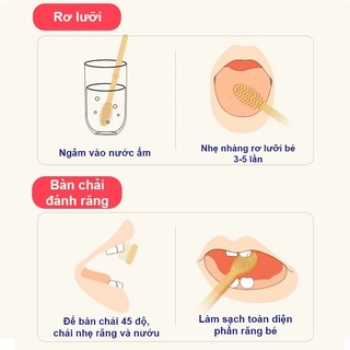 Bộ bàn chải , rơ lưỡi silicon kèm cốc
