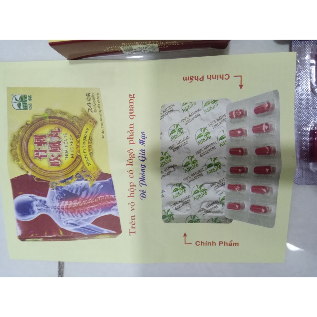 THOÁI HOÁ TÊ NHỨC KHỚP singapore - 24 viên