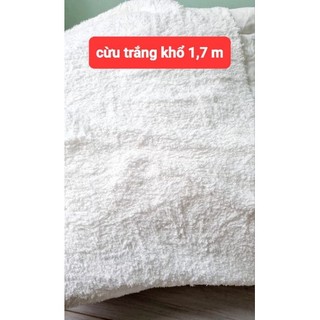 Vải lông mịn hình gấu khổ 1,9m