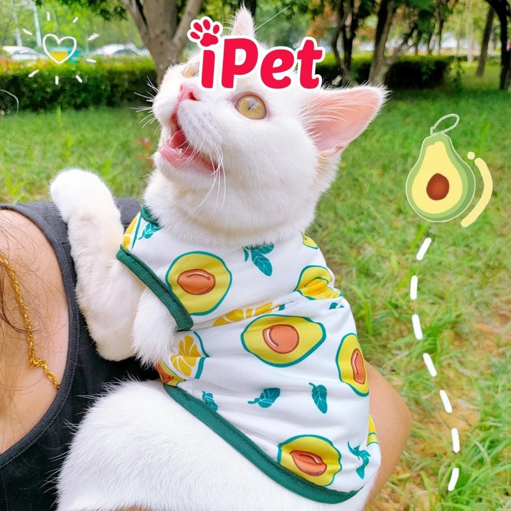 Áo thun ba lỗ trái cây dễ thương thoáng mát cho thú cưng chó mèo - iPet Shop