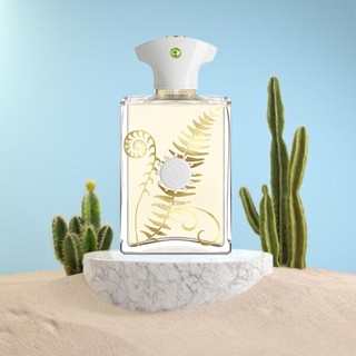 Nước hoa amouage - beach hut man 5ml-10ml-20ml