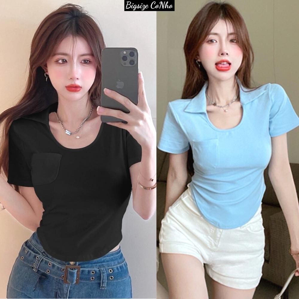 BIGSIZE Áo thun kiểu tay ngắn bigsize nữ cổ bẻ tròn, Áo phông Chuppy 58-95kg A43
